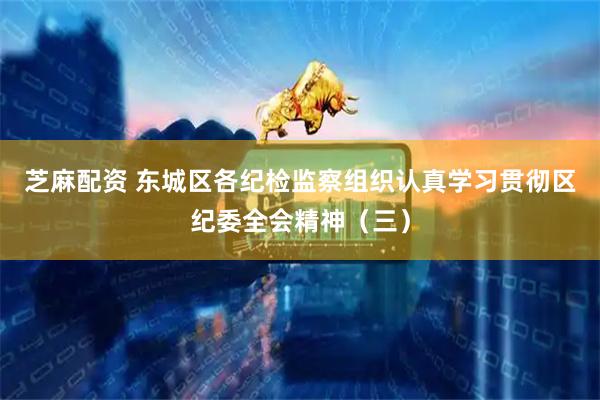 芝麻配资 东城区各纪检监察组织认真学习贯彻区纪委全会精神（三）